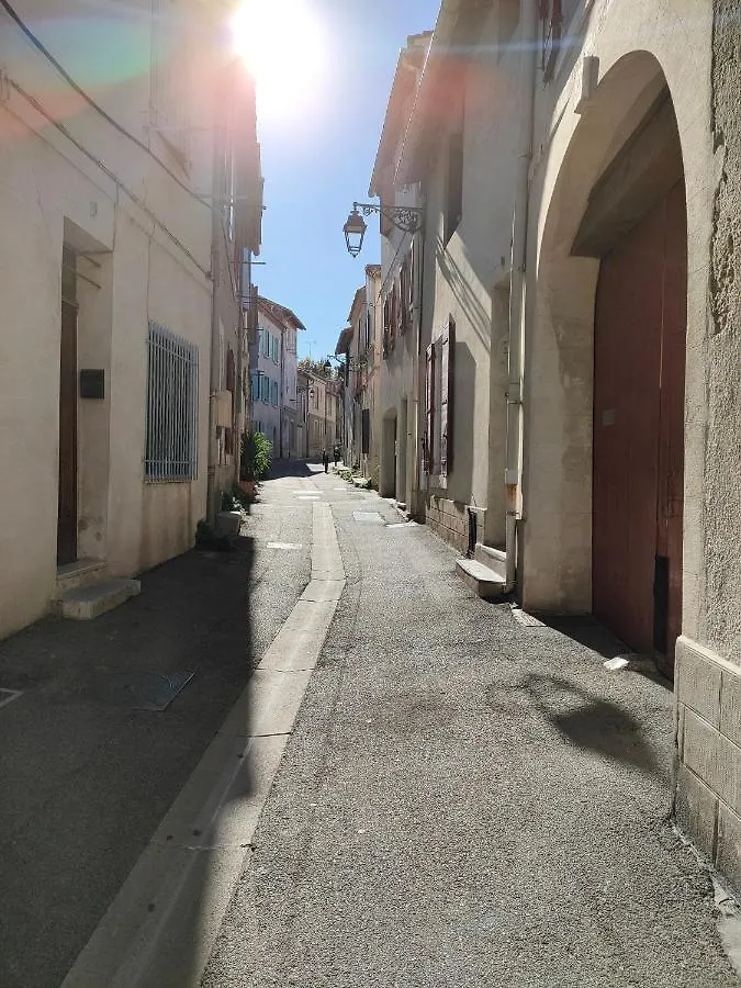 Casa vacanze La petite Arlésienne - Charmante maison de ville Francia